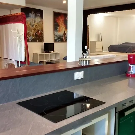 Spacieux Et Original Proche Gare Au Rdc * Saumur