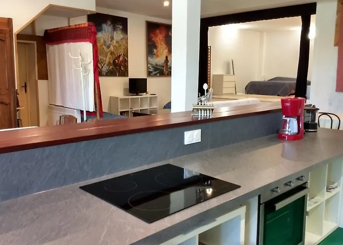 Spacieux Et Original Proche Gare Au Rdc * 索米尔