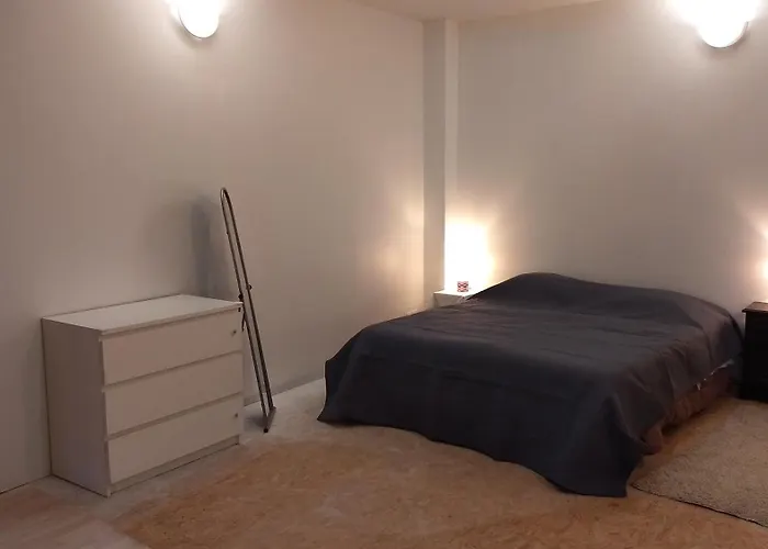 Spacieux Et Original Proche Gare Au Rdc * 索米尔